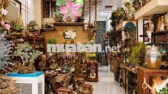 HẺM 118 PHAN HUY ÍCH PHƯỜNG 15- TÂN BÌNH- HẺM 8M THÔNG- DT 56M-3 TẦNG