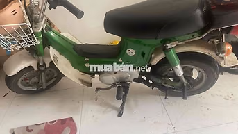 chaly dư dùng giấy tờ hợp lệ