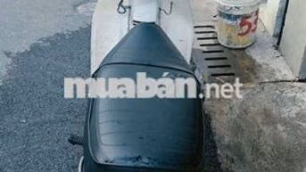 Honda Cub tum 50 Xanh