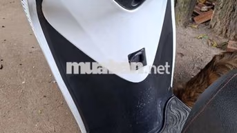 Honda SH 2015 Trắng 3990 km