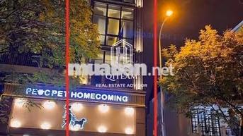 Spa MT 42 Trịnh Văn Cấn, Q1. Dt: 4x15m, Kc: trệt lửng 3 lầu (sàn suốt)