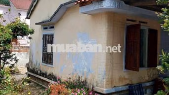 Bán gấp nhà riêng giá tốt view đẹp diện tích nhà & vườn 360m2