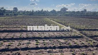 Chính chủ cần tiền xây nhà bán đất F0