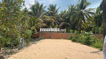 CẦN BÁN NỀN 106,7M² (50M² THỔ CƯ) – MẶT TIỀN 7,5M – PHÚ ĐỨC, LONG HỒ