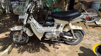 Honda Chaly Cổ điển màu Trắng đèn vuong.zin az