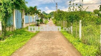 bán đất duong qua sân bay long thanh