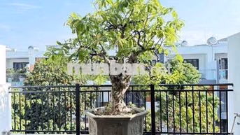 Bán Nhà KĐT Kỹ Gia Gói 8 Vĩnh Thái Nha Trang