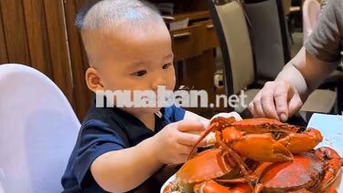 CỐNG QUỲNH Q1 – MẶT TIỀN ĐẸP, TRỤC KINH DOANH SẦM UẤT