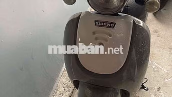 Xe tay ga Honda Giorno 50cc Xám