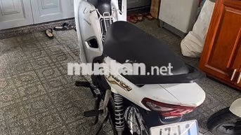 Honda Wave Alpha Trắng Xe số