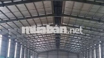 xưởng kV 6000 m giá 250 triệu ngay Bến lức Long An