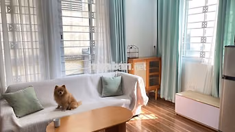 Cho thuê 1N1K 55m2 Phan Huy Chú, full đồ, thang máy, giá 10 triệu