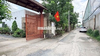 ĐẤT THỔ CƯ - HXT- 87M2, ĐƯỜNG THẠNH XUÂN 52 -Q12 . GIÁ CHỈ 3.8 TỶ.