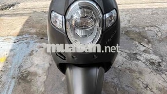 Honda Scoopy 2020 Nâu