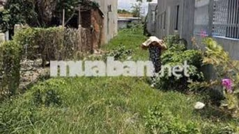 Cần bán gấp đất thổ cư. 4.5x34m đường be tông 5m. xã Mỹ Hạnh Bắc
