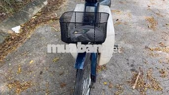 Honda Super Cub 50cc Xanh trắng