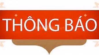 CTY ĐẤU GIÁ HỢP DANH TRỰC TUYẾN VIỆT NAM (VNOA) TỔ CHỨC ĐẤU GIÁ