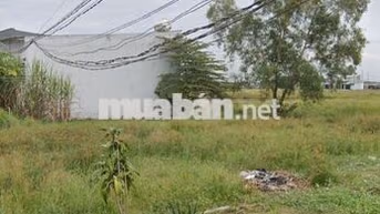 Bán đất giá siêu hời tại Mỹ Hạnh Nam, 1,1 tỷ, 100m2