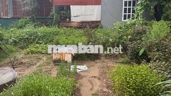 Bán đất Đa Tốn -Gia Lâm 50m2 4 tỷ ngõ ô tô tránh