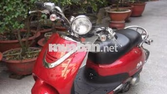 SYM Cello Đỏ 50k km muốn bay nhanh