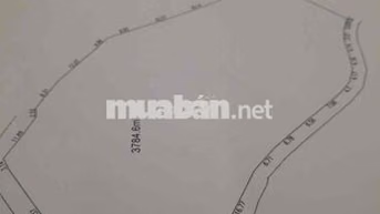 Nhà Không Có Người Làm Nên Bán rẻ Đát Vườn Xã Đại Lào