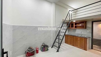 Cho Thuê Duplex Full Nội Thất Ngay Lý Thánh Tông Gần ĐH Văn Hiến 4 Xã