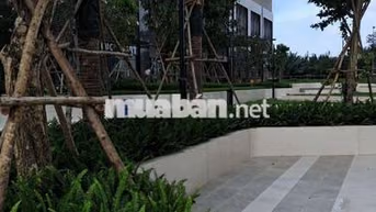Cho thuê căn hộ Q7 Riverside 2 PN, 2WCC