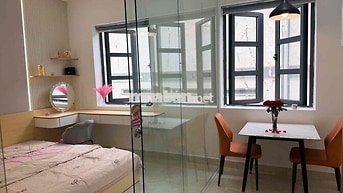 ❌CHÍNH CHỦ CHO THUÊ CĂN HỘ CAO CẤP MỚI 100%~~Tách Bếp Có Giặt Sấy