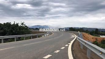BÁN ĐẤT TRỒNG CÂY ĐẠ LONG LÂM ĐỒNG CHÍNH CHỦ