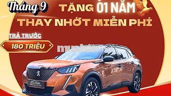 Peugeot 2008 GT Line 2022 56000 km Cam