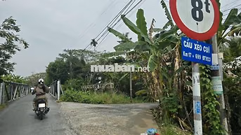 ĐẤT NHÀ VƯỜN 6300M²(N25×DÀI100) 410M²TC R XẺO CUI, TÂN THỚI PHONG ĐIỀN
