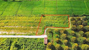 1000m2 Gần KCN Hiệp Thạnh. Xây trọ hoặc làm nhà vườn.  980tr 