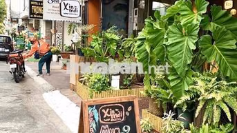 căn hộ studio cách bãi sau 10p đi bộ