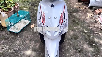 Yamaha Mio Trắng