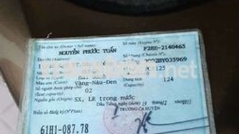 Honda PCX125 2011 Vàng-Nâu-Đen