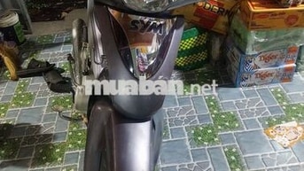 SYM Angel 100 Xám Xe số