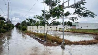Bán Đất Trồng Cây Xã Đức Hoà Thượng, Long An