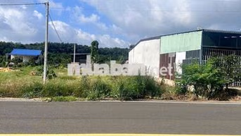 Đất dân chính chủ 280m2 TC 50m2 cần bán gấp để trả nợ ngân hàng