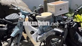 Honda Cub Xanh xám
