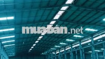 Cho thuê kho đường 830 huyện bến lưc ,Tỉnh Long An 