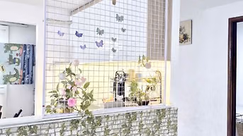 🌹🌹🌹 7tr/tháng - CC D1 KDC Phú Lợi P7 Q8, 2PN 78m2 🌹🌹🌹