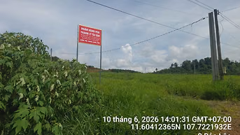 Công ty đấu giá hợp danh Sao Việt 