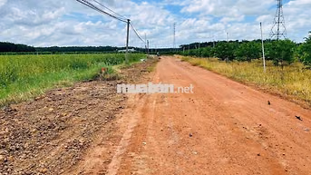 bán đất mặt tiền đường ( đang quy hoạch 20m)
