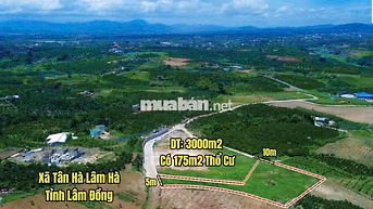 3000m2 THÍCH HỢP ĐẦU TƯ HAY TÍCH TRỮ TÀI SAN- TÂN HÀ- LÂM HÀ- LÂM ĐỒNG