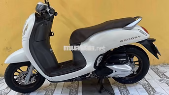 Scoopy khoa ga đời 2024 siêu mới 43AF-038.44