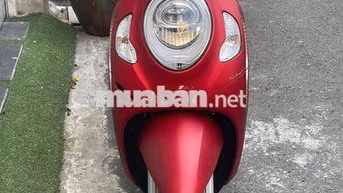 Scoopy - 2023 - 2900 km - bstp