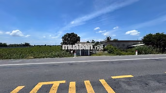 Đất thổ cư 1000 m2 mặt tiền đường ĐT 818 Tân Thành Thủ Thừa Long An cũ