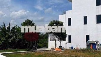 Nợ NH Cần Bán Gấp Lô Đất  Hoà Lạc ngay gần ĐH FPT chưa tới 2tỷ