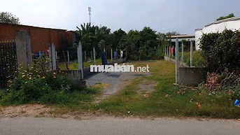 Mua thổ sinh lời ! Diện tích 370m2 tại Gia Lộc, Trảng bàng giá 300tr
