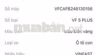 VinFast VF 5 PLUS 2024 Trắng